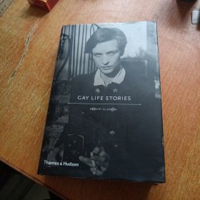 GAY LIFE STORIES 英文版