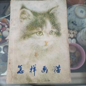 怎样画猫