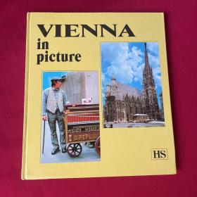 VIENNA IN PICTURE