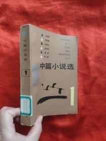 1984中篇小说选 【1】