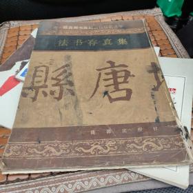 書法存真集 唐·顏真卿书麻姑山仙壇记选字(品差)