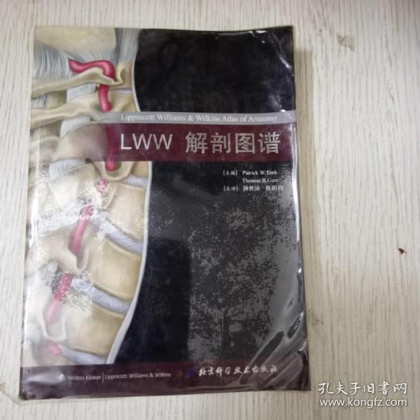 LWW解剖图谱