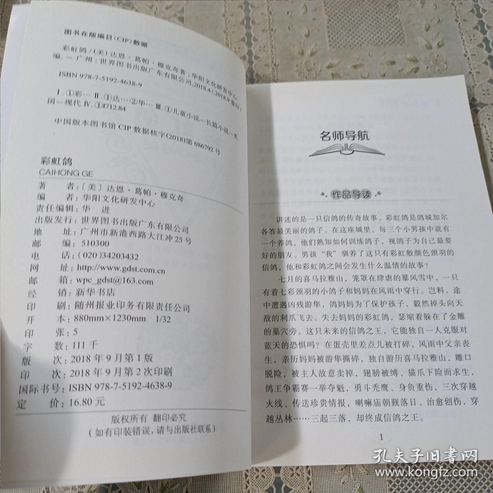 纽伯瑞儿童文学奖获奖作品 彩虹鸽