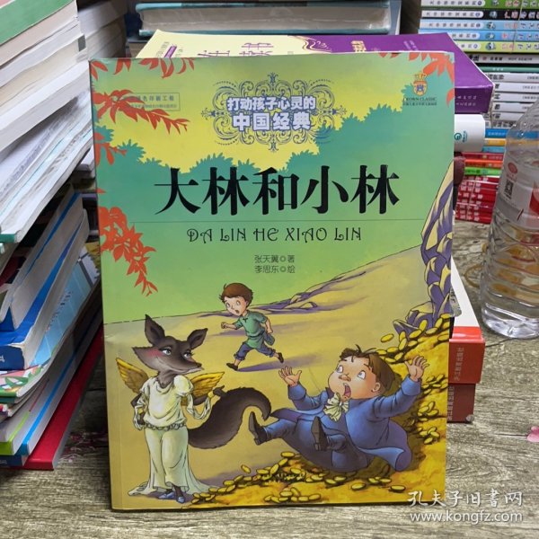 最能打动孩子心灵的中国经典童话-大林和小林