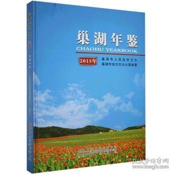 【假一罚四】巢湖年鉴:2015年巢湖市地方志办公室9787546152509