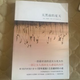 天黑前的夏天：新经典文库348；莱辛作品01