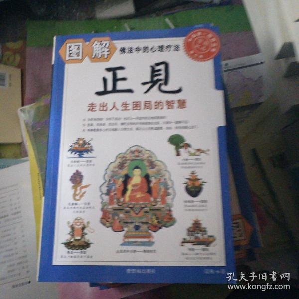 图解正见：走出人生困局的智慧