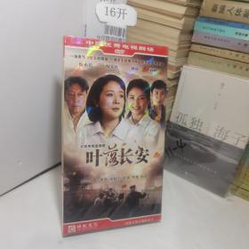大型电视连续剧：叶落长安 8碟简装DVD （刘涛等主演）全新未拆封