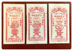 广西省人民委员会棉布购买证1956.9～1957.8壹尺、贰尺、伍尺，共3枚