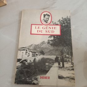 LE GENIE DU SUD