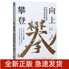 向上攀登(中国民营企业的企业文化实践之路)