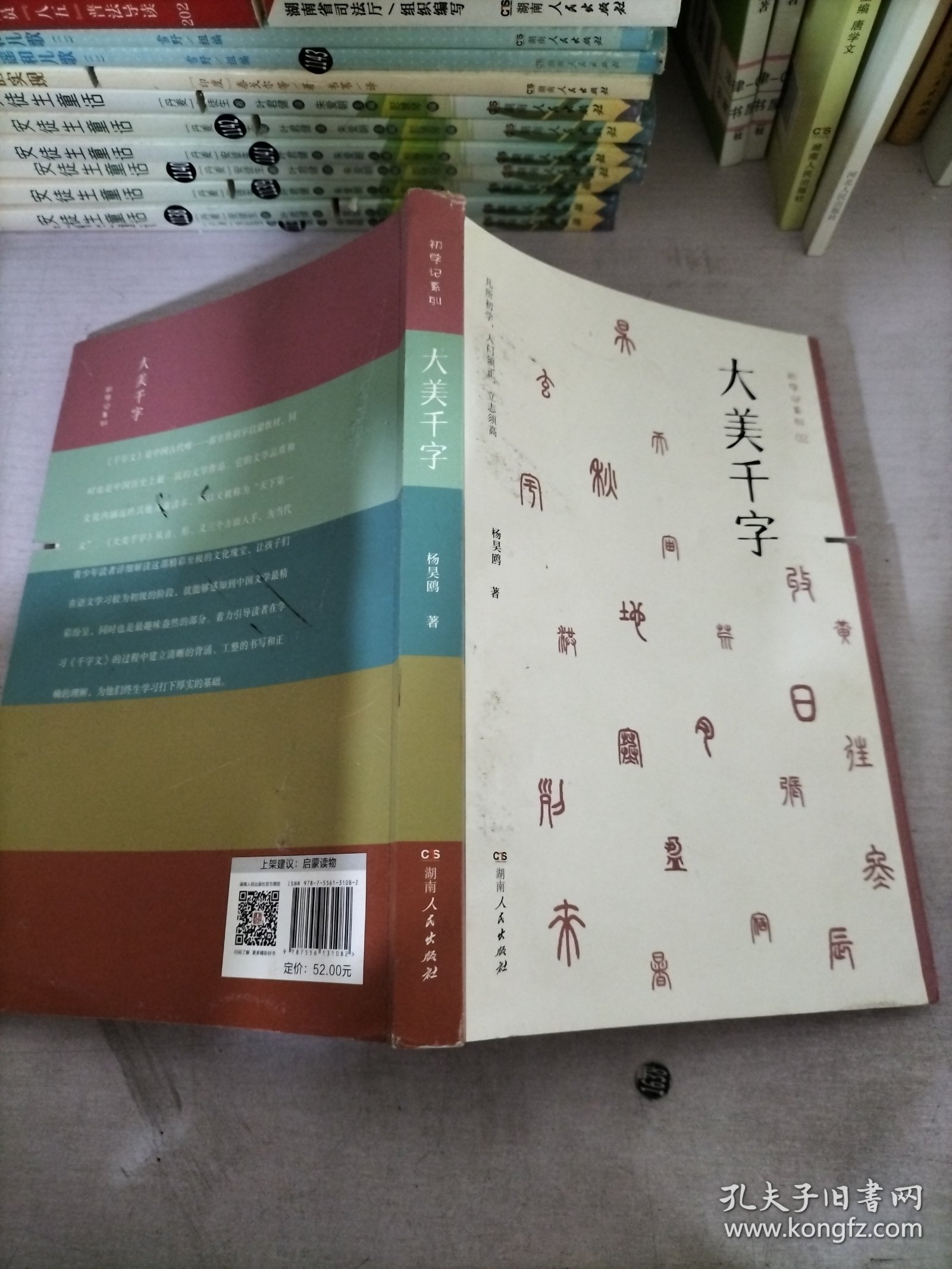 大美千字（中小学生课外读物，亲子共读国学经典。知名语文学科专家杨昊鸥带领博士团队献给孩子的人生礼物——《千字文》无障碍读本：识字启蒙，启迪文采，端正书写。）