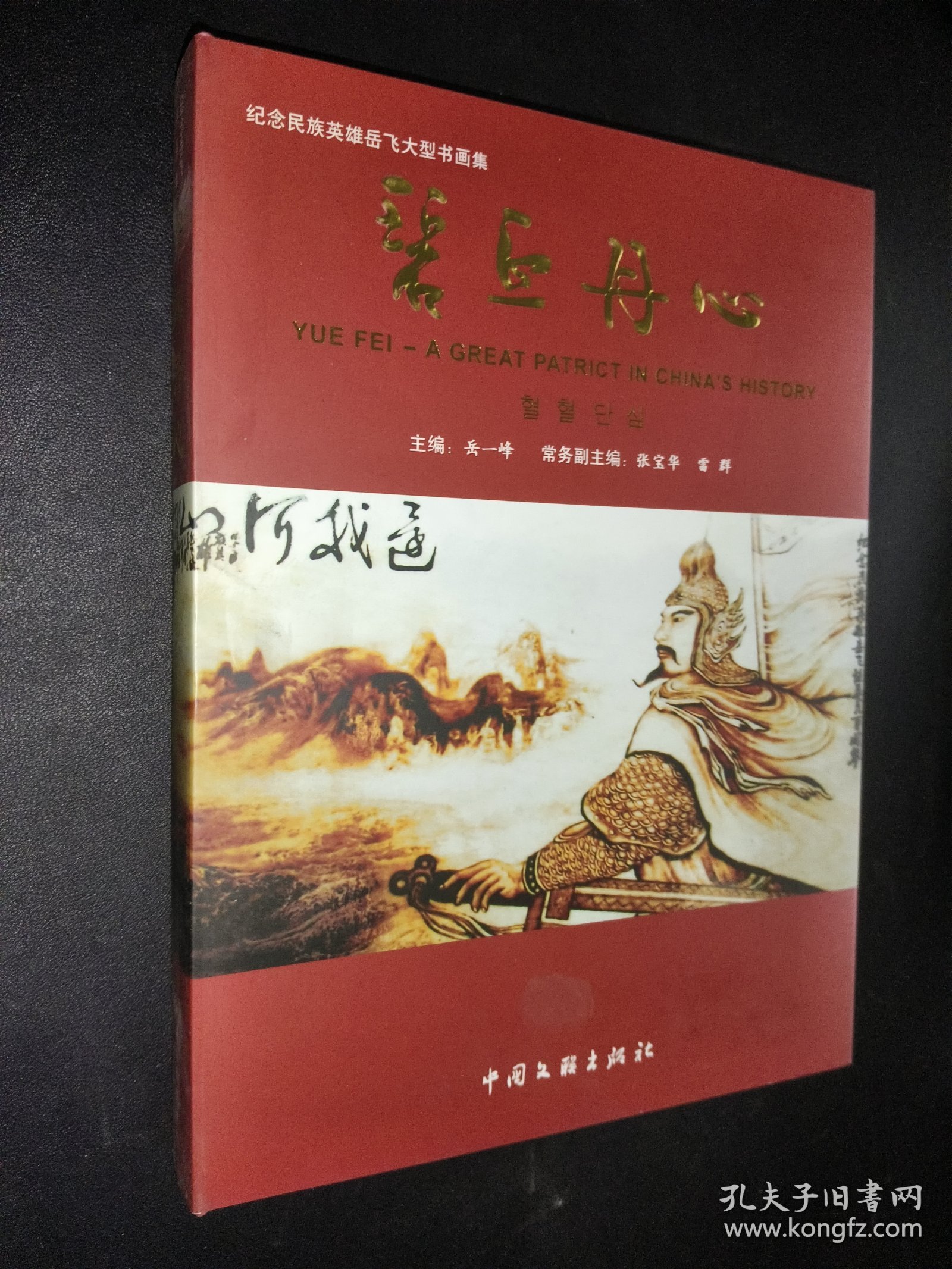 碧血丹心 纪念岳飞书画集