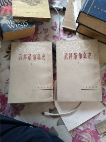 武昌革命真史 上下