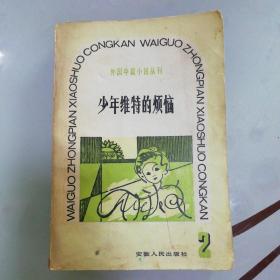 少年维特的烦恼