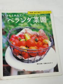 ベランダ菜園 直译就是现在流行的阳台种菜