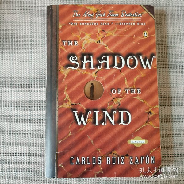 The Shadow of the Wind