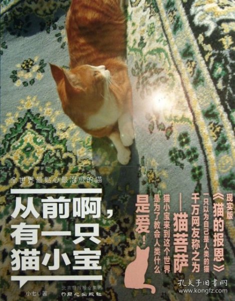 《从前啊，有一只猫小宝》 