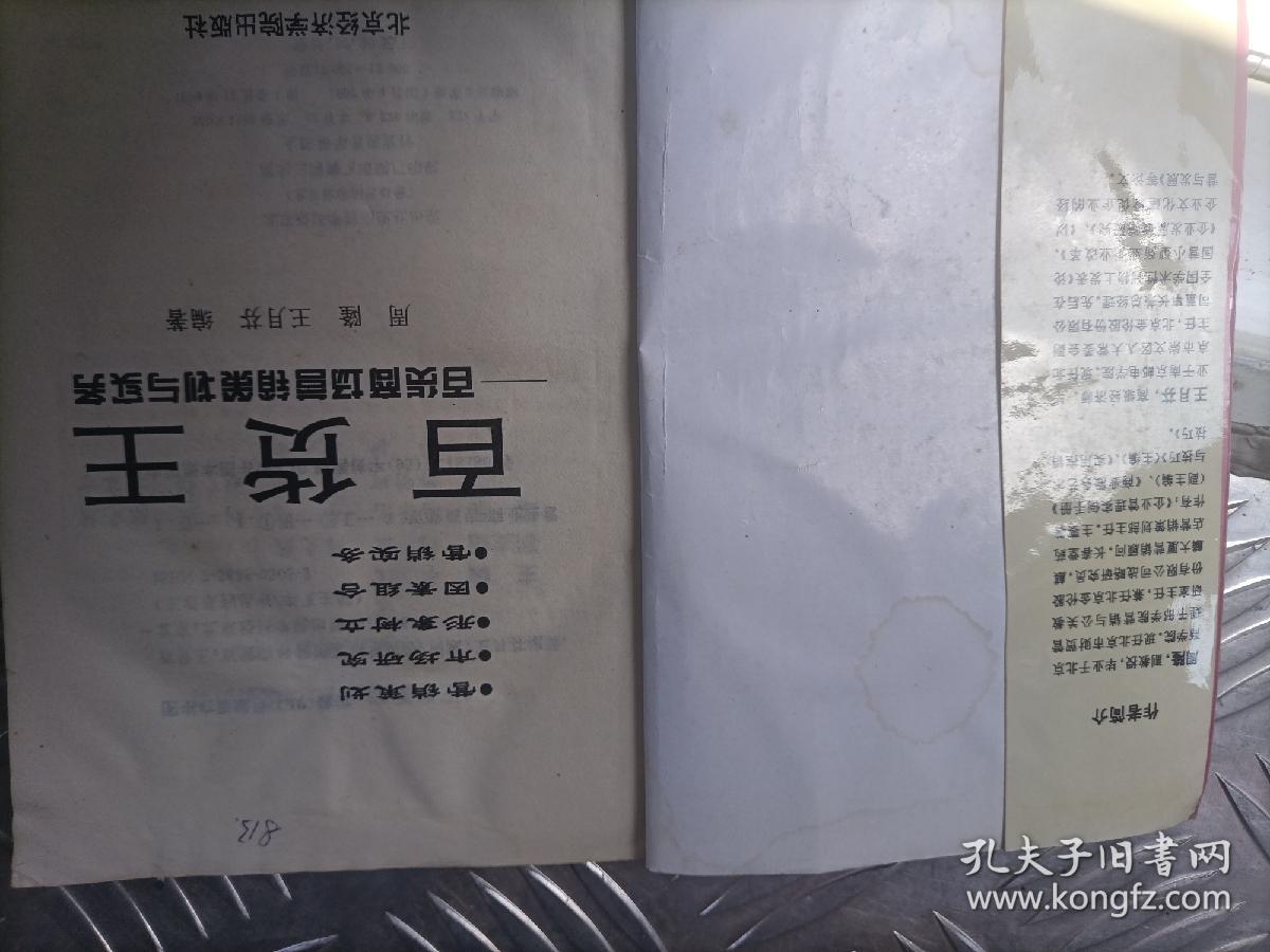 百货王:百货商场营销策划与实务