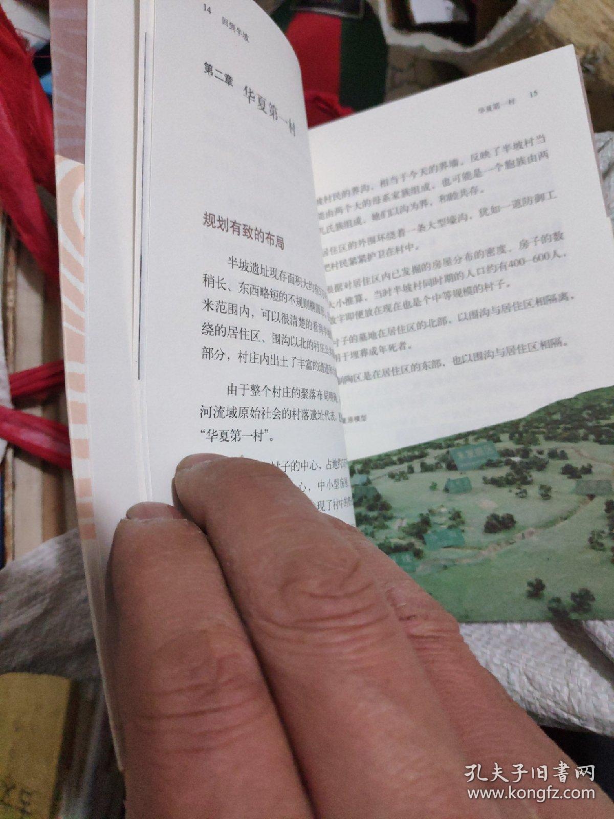 回到半坡