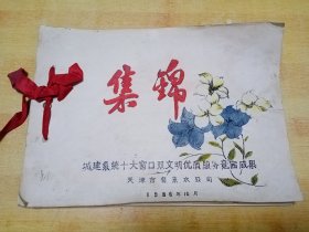 城建系统十大窗口双文明优质服务竞赛成果果