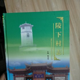 陵下村志