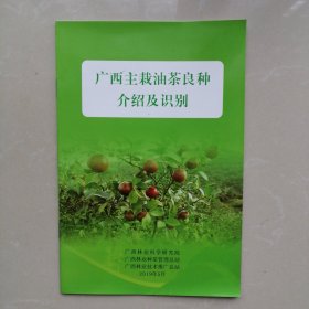 广西主栽油茶良种介绍及识别