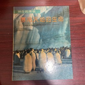 寒冷天地的生命