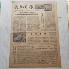湖北日报 1978年7月25日（1-4版）武昌县积极采取措施减轻农民负担，大冶钢厂晋升任命一批工程技术人员，宜城县恢复一批中小学领导干部职务