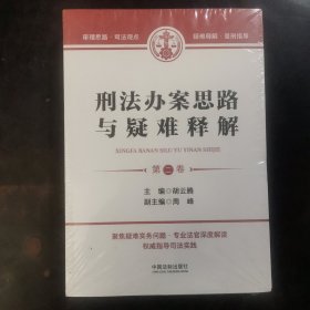 刑法办案思路与疑难释解（第二卷）