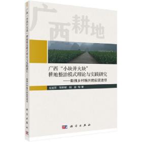 广西“小块并大块”耕地整治模式理论与实践研究：助推乡村振兴的实现途径