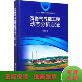 页岩气气藏工程动态分析方法