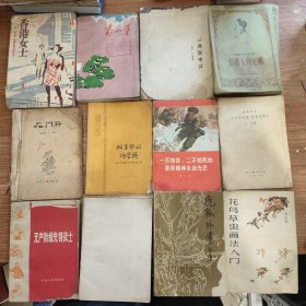 香港女士(泡水)、靠山堡(泡水)、飞禽画参考(缺前后几页)、安娜卡列尼娜下册(泡水)、石门开(缺前后几页)、做革命的硬骨头(破损)、一不怕苦二不怕死的革命精神永放光芒(破损)、工兵尼古拉哈里托诺夫(缺封皮)、无产阶级先锋战士(破损)、上下五千年(中)(缺封面)、飞狐外传下册(缺后几页)、花鸟草虫画法入门(缺3页) 12册合售