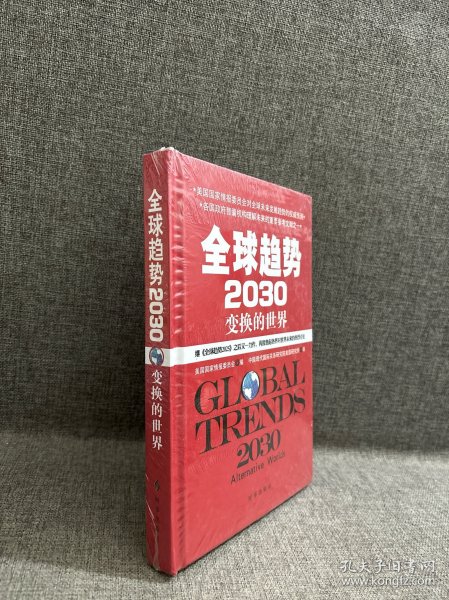 全球趋势2030：变幻的世界（精装）