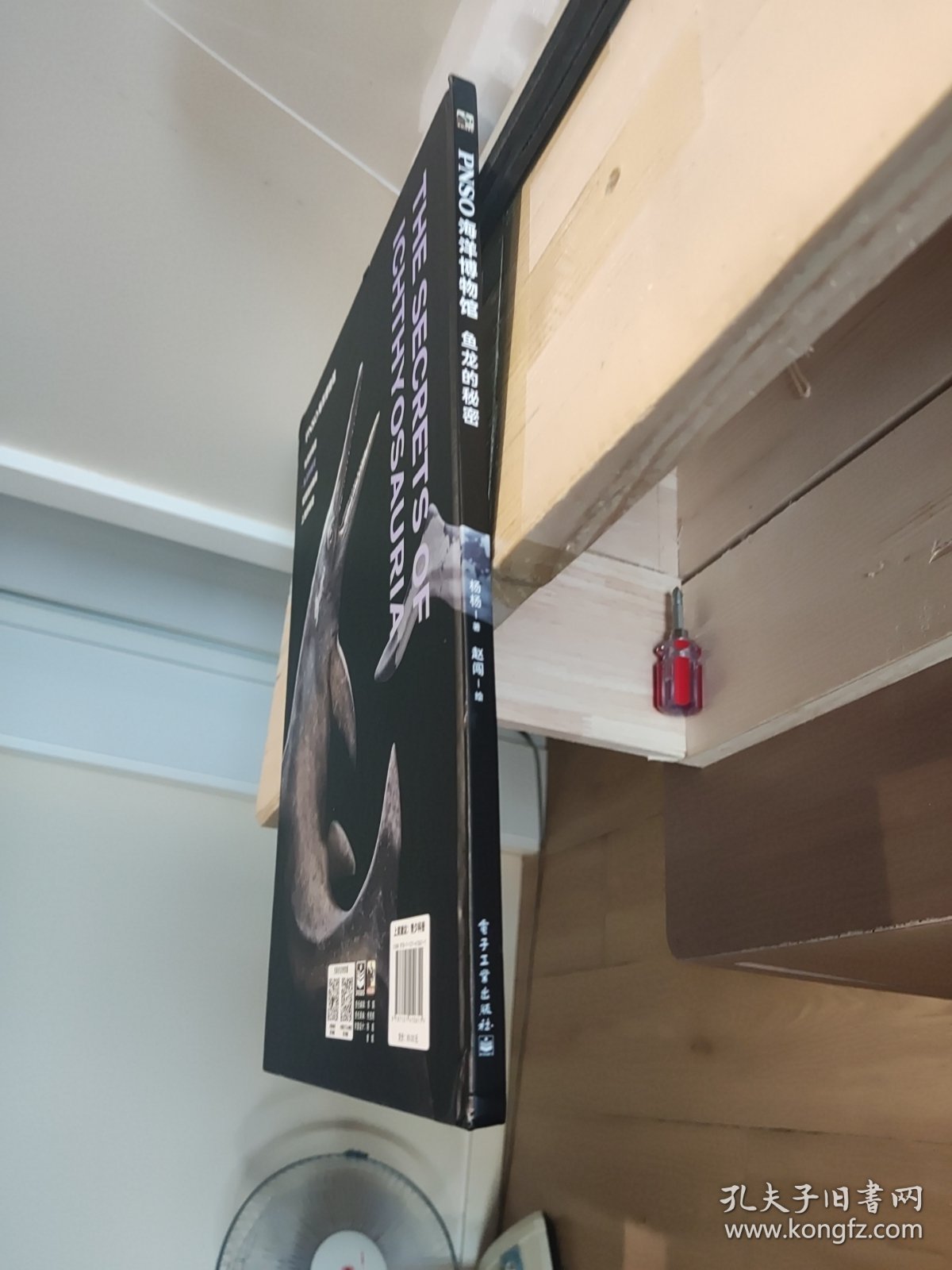 点击查看原图 PNSO海洋博物馆鱼龙的秘密