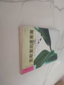 圣歌里的芭蕉箐：富民县东村乡芭蕉箐苗族村民日记
