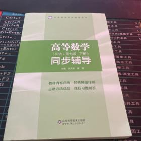 高等数学同步辅导（下）