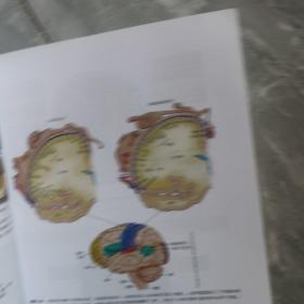 心理学导论：思想与行为的认识之路