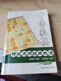 中国象棋特级大师经典绝活