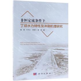 非恒定流条件下丁坝水力特性及冲刷机理研究