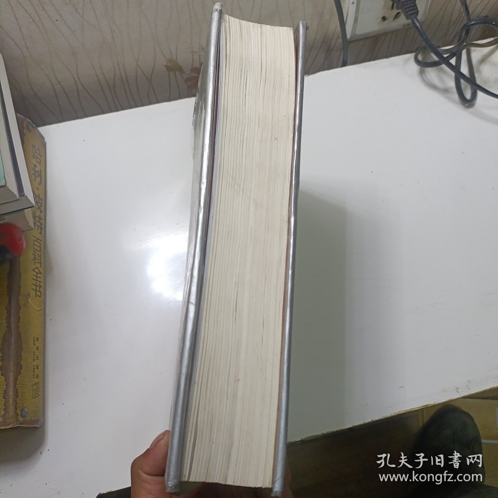 乐至县志