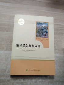 统编语文教材配套阅读 八年级下：钢铁是怎样炼成的/名著阅读课程化丛书