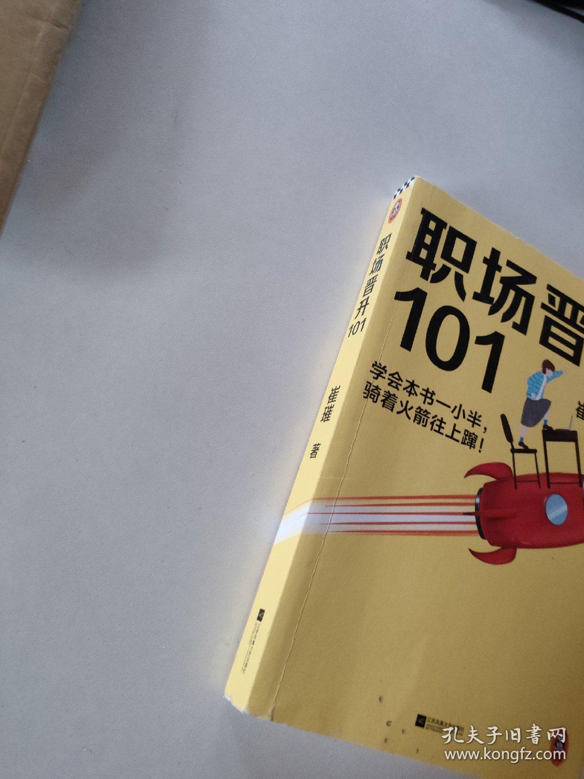 职场晋升101（学会本书一小半，骑着火箭往上蹿！30万人验证过的职场干货，解决长期痛点！努力工作非常重要，升职加薪另有诀窍！）