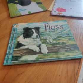 Floss英文原版 Floss by Kim Lewis 福罗丝 儿童动物启蒙 情景故事绘本 9780744520712 Walker Books Ltd