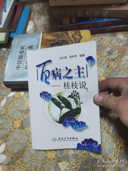 百病之主：桂枝说