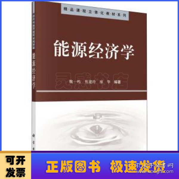 精品课程立体化教材系列：能源经济学