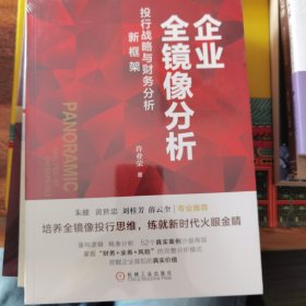 企业全镜像分析：投行战略与财务分析新框架