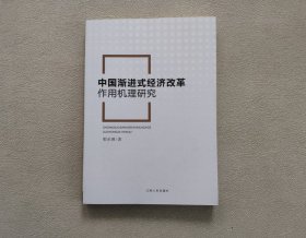 中国渐进式经济改革作用机理研究