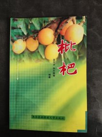枇杷