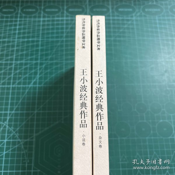 王小波经典作品：小说卷、杂文卷